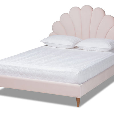 Baxton Studio Odille Modern Glam Light Pink Velvet Upholstered Walnut Brown Finished Wood Queen Size Seashell Shaped Platform Bed