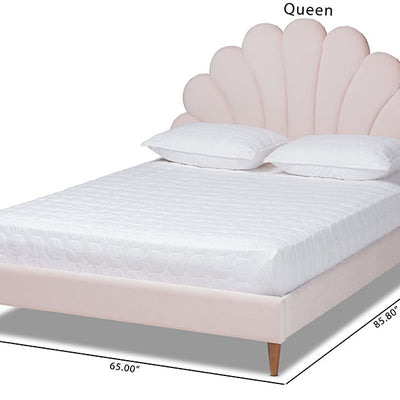 Baxton Studio Odille Modern Glam Light Pink Velvet Upholstered Walnut Brown Finished Wood Queen Size Seashell Shaped Platform Bed