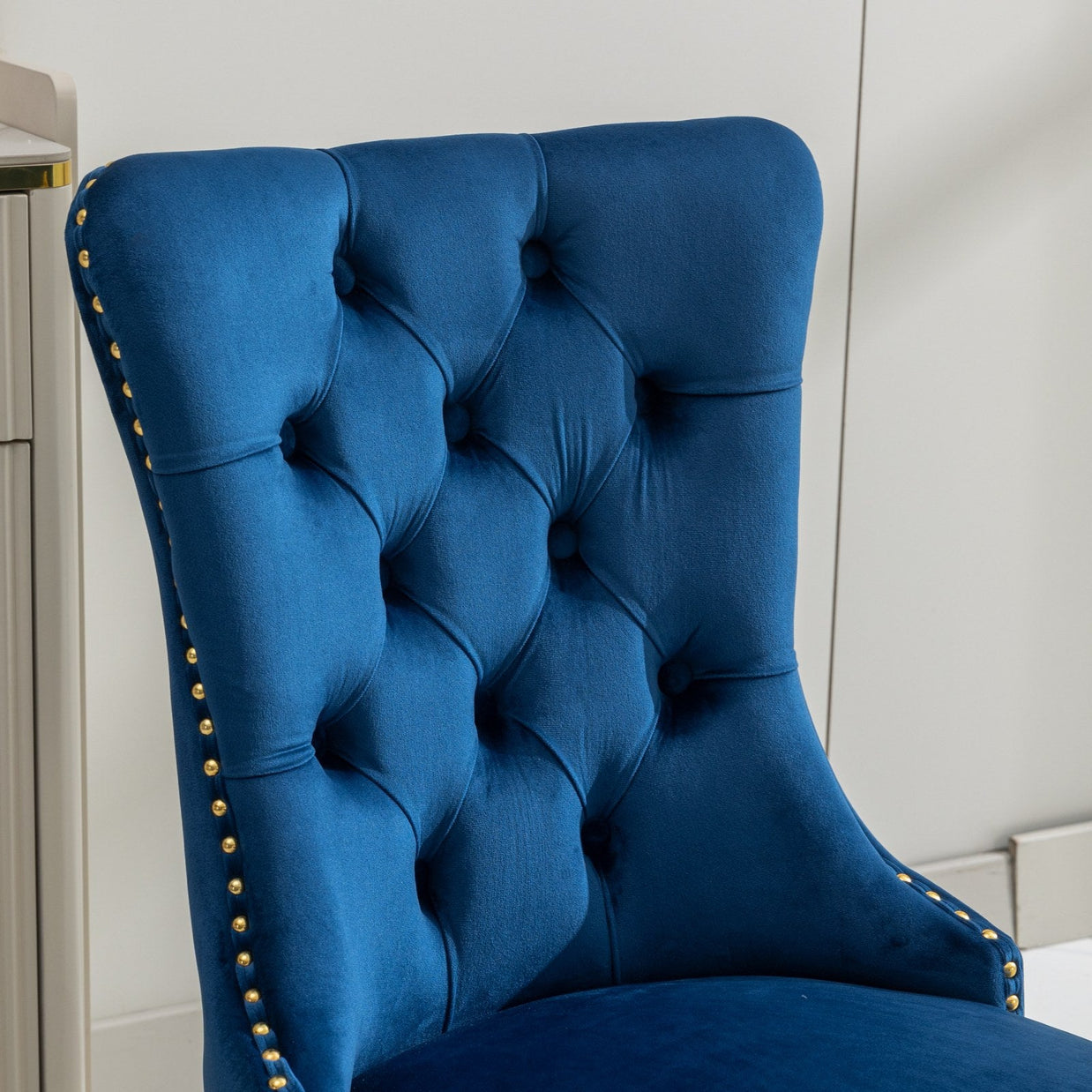 Nikki Collection Modern Velvet Upholstered Dining Chair Set of 2