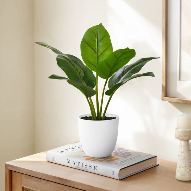 17" Tall, Artificial Plant, Aureum, Indoor, Faux, Fake, Table, Greenery, Potted, Real Touch, Decorative - Green / White