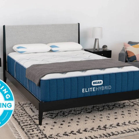 Bear Elite Hybrid Mattress