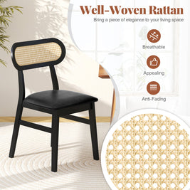 Indoor Mid Century Wood Dining Chairs Set of 2 for Dining Room