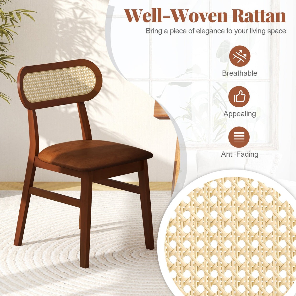 Indoor Mid Century Wood Dining Chairs Set of 2 for Dining Room