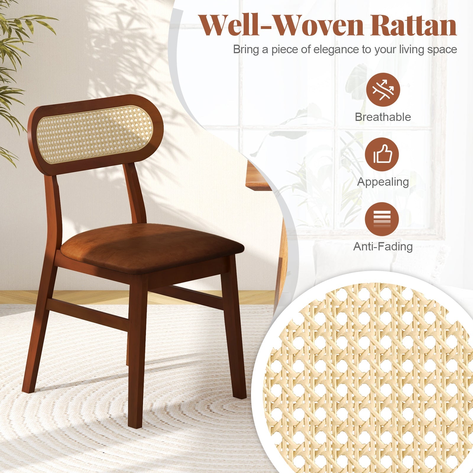 Indoor Mid Century Wood Dining Chairs Set of 2 for Dining Room