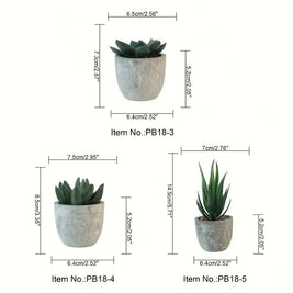 Succulent Plant Set in Concrete Pots, Low Maintenance Indoor Decor