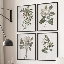 Vintage Plant Drawing Posters. Set of 4 Floral Art Prints