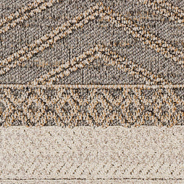 Beige Charcoal Areli Outdoor Area Rug