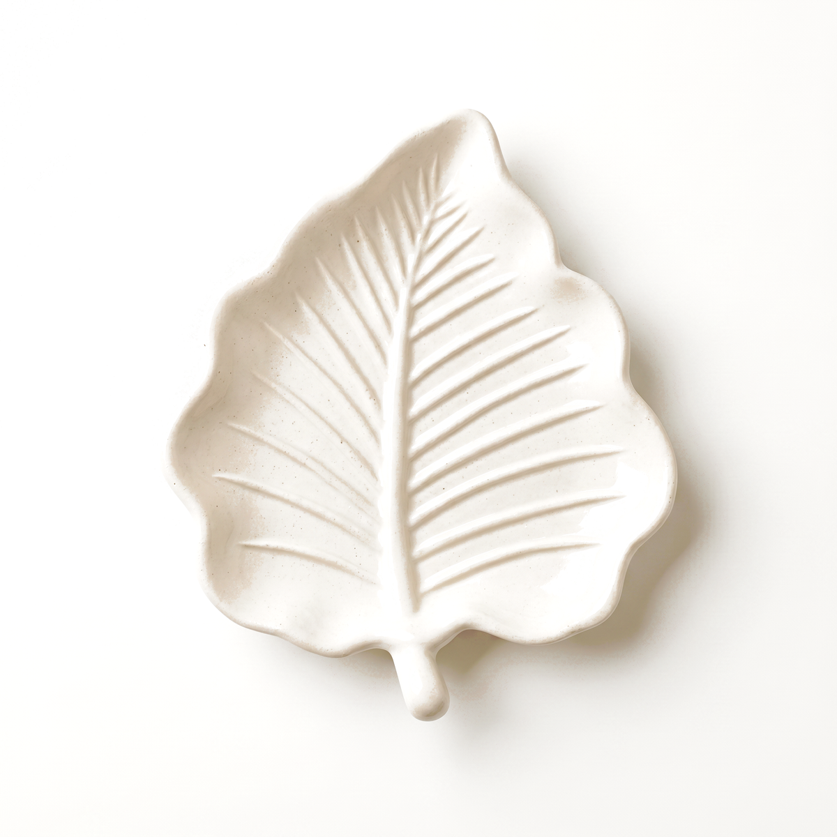 Elm Leaf Decorative Tray, Gypsum White 6